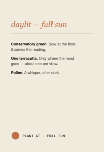 Sun instructions — seed packet