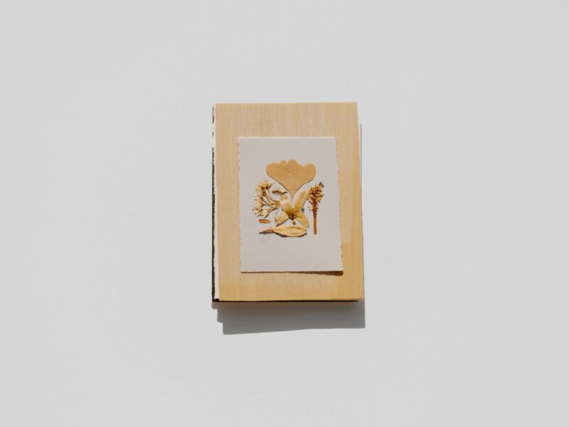 Wooden book with dried flowers and paper.